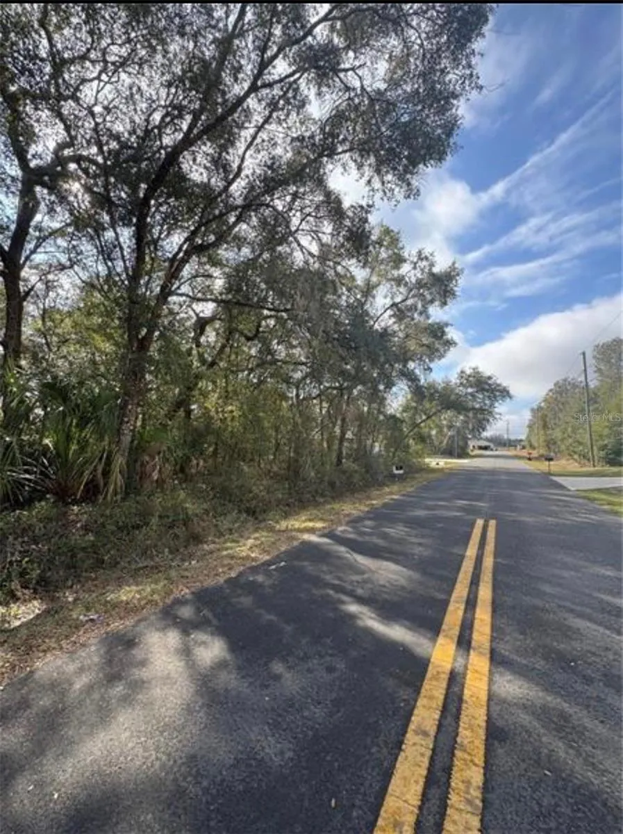 TBD LOCUST LOOP TERRACE ocala, FL 34472