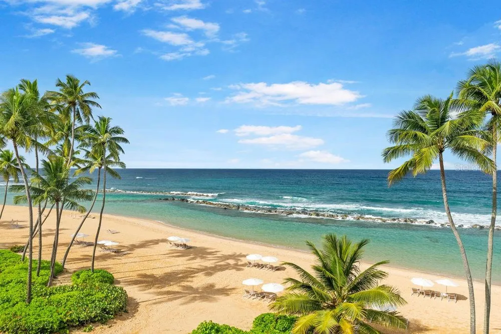 200 Dorado Beach Dr WEST BEACH PH #3141-3142 Dorado, PR 00646