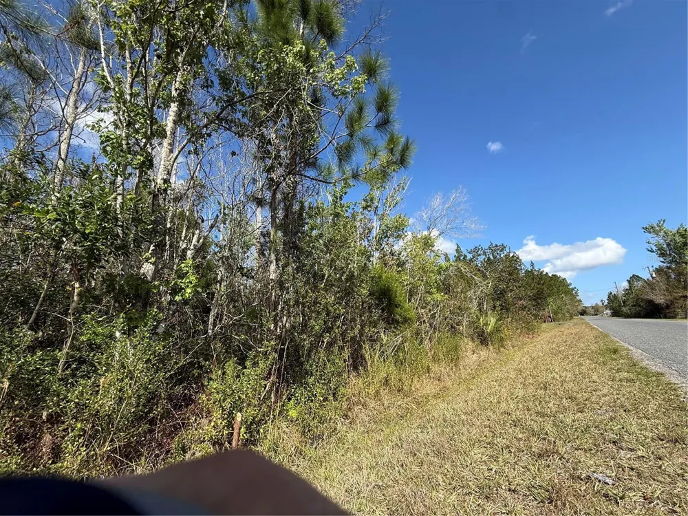 JUPITER DRIVE St Cloud, FL 34773