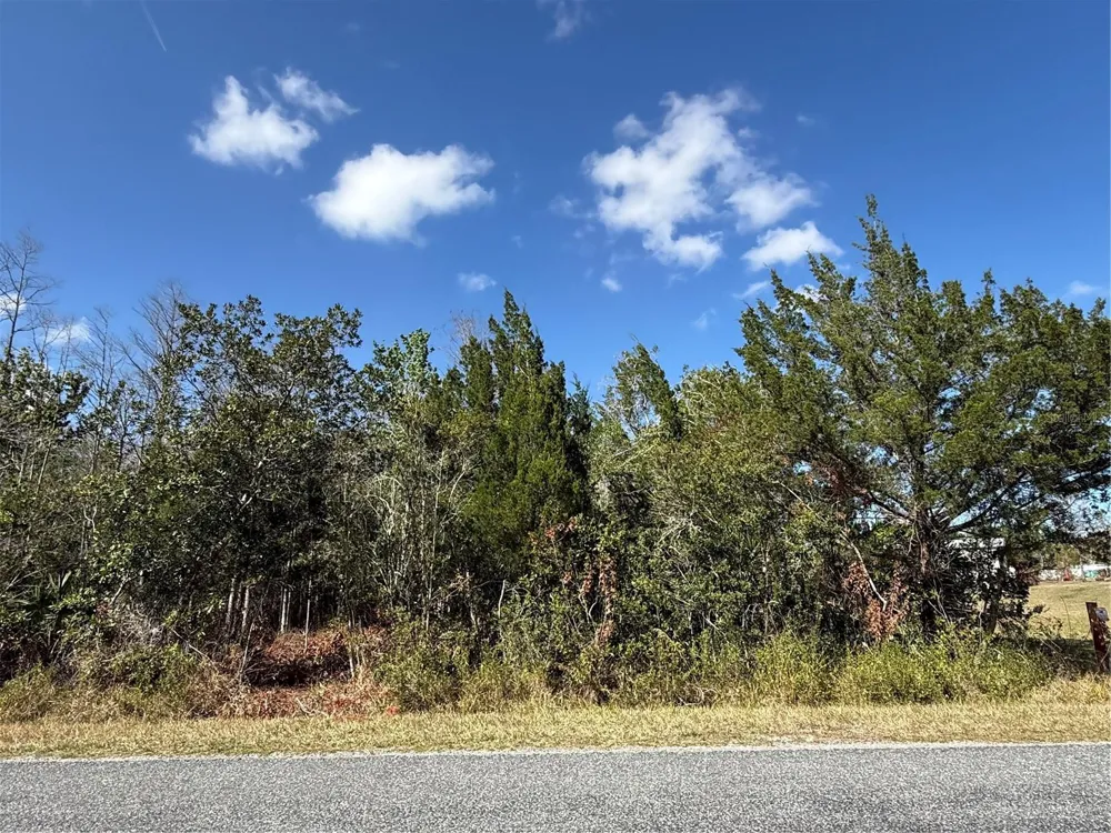 JUPITER DRIVE St Cloud, FL 34773