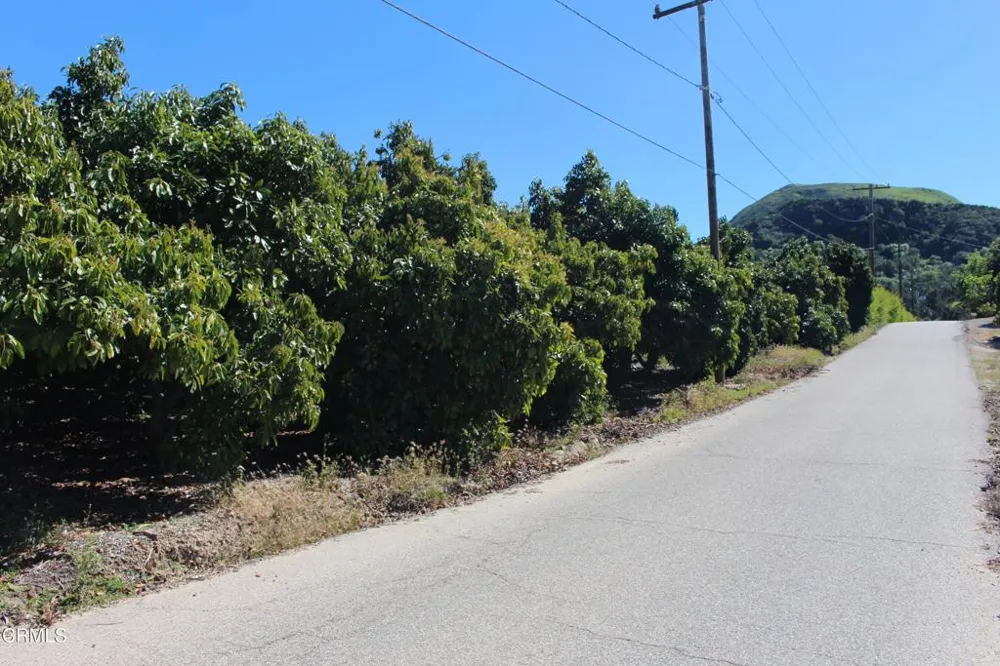 1550 Santa Paula Street Fillmore, CA 93015