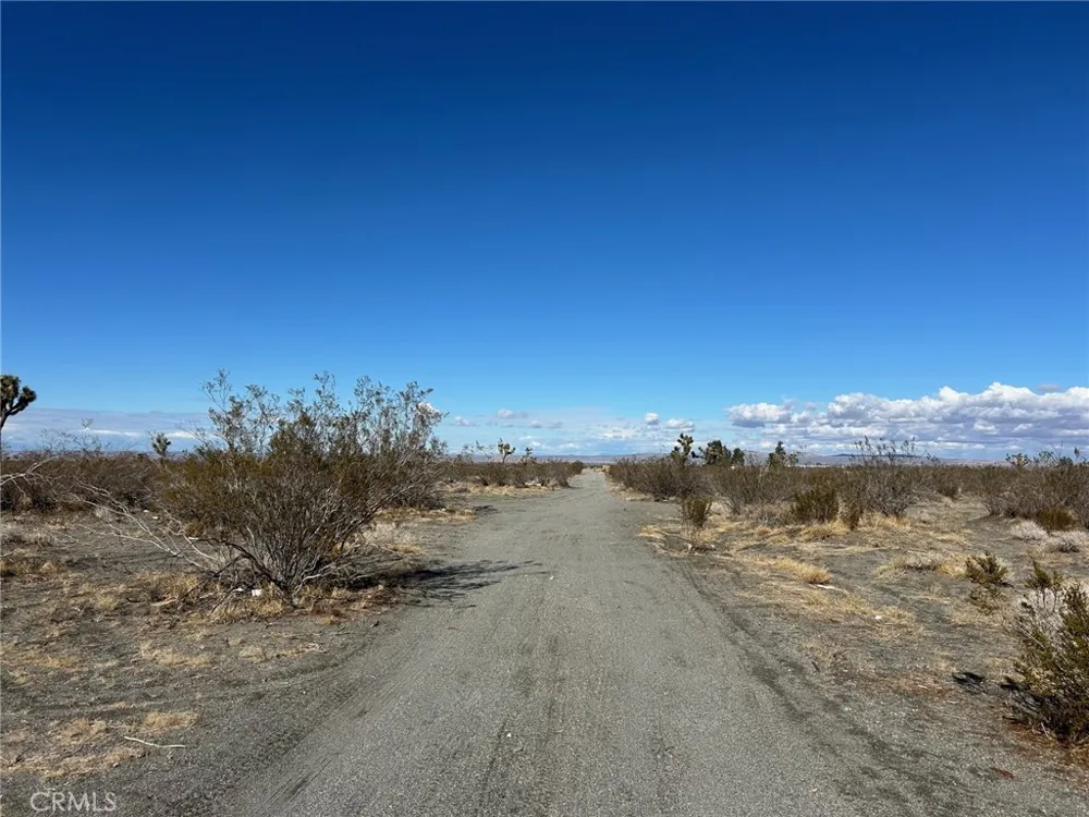 Silver Rock Road Pinon Hills, CA 92372