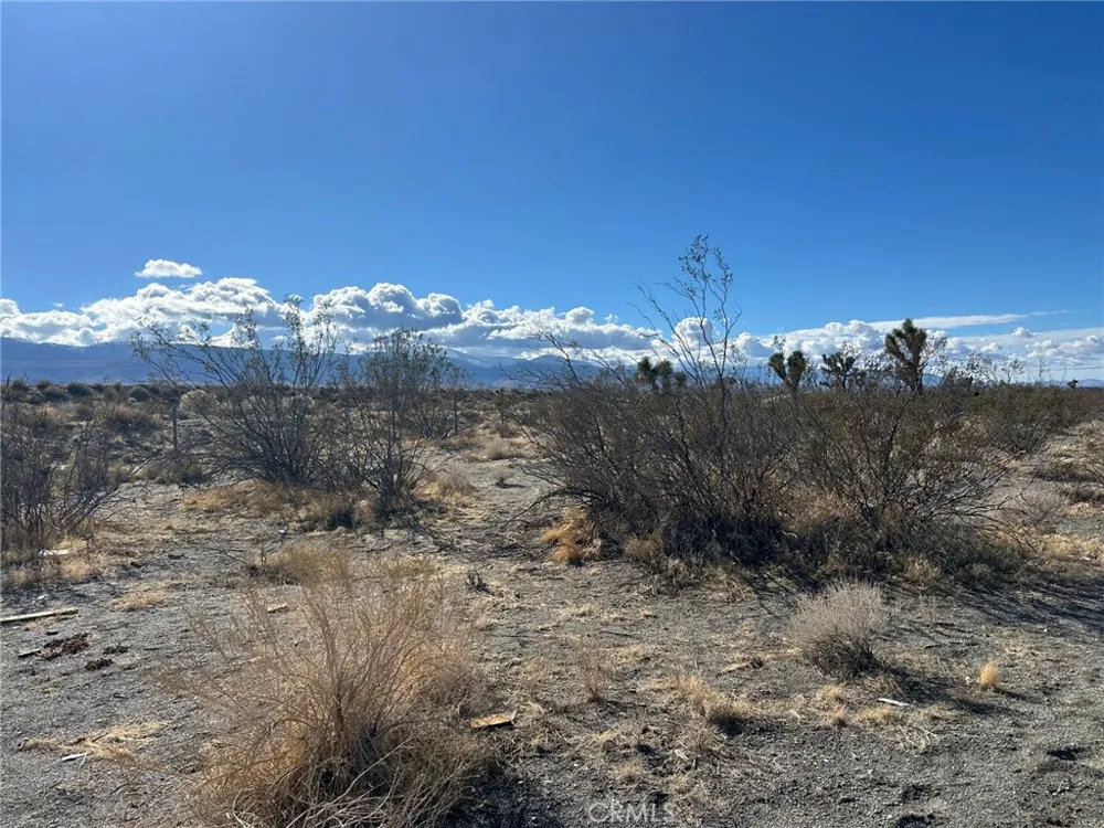 Silver Rock Road Pinon Hills, CA 92372