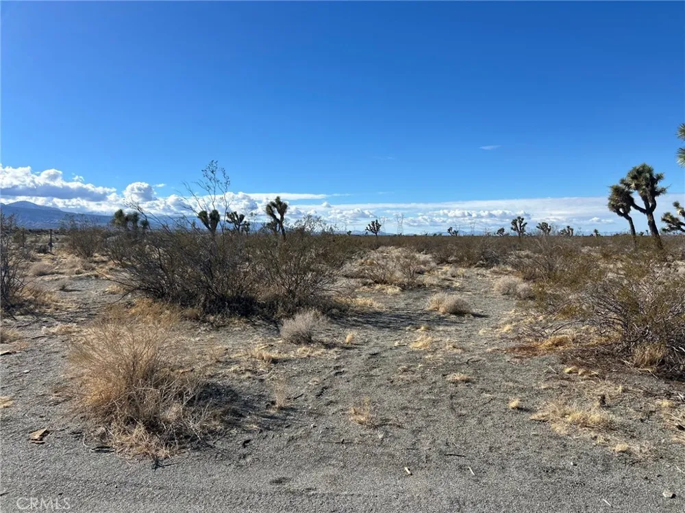 Silver Rock Road Pinon Hills, CA 92372
