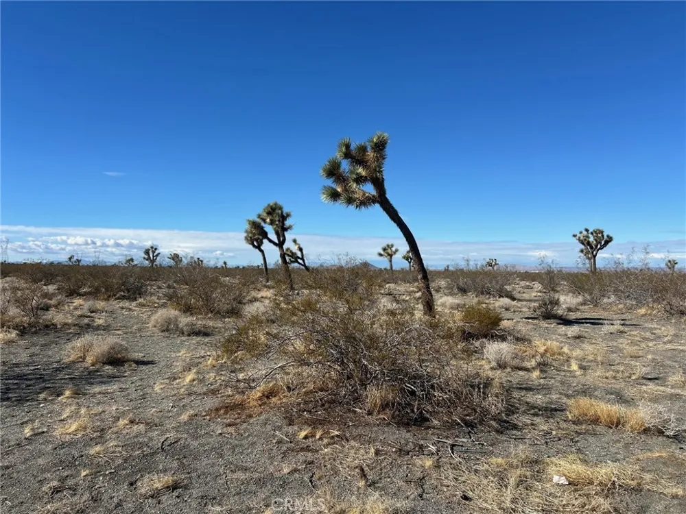 Silver Rock Road Pinon Hills, CA 92372