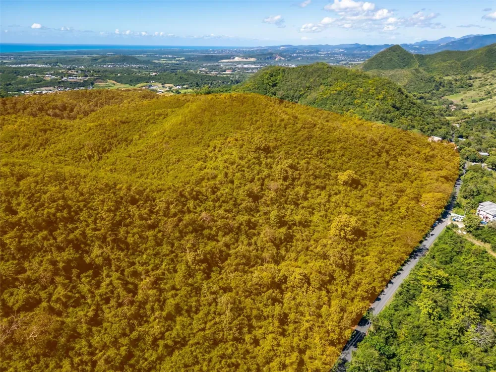 BO TIJERAS Juana Diaz, PR 00795