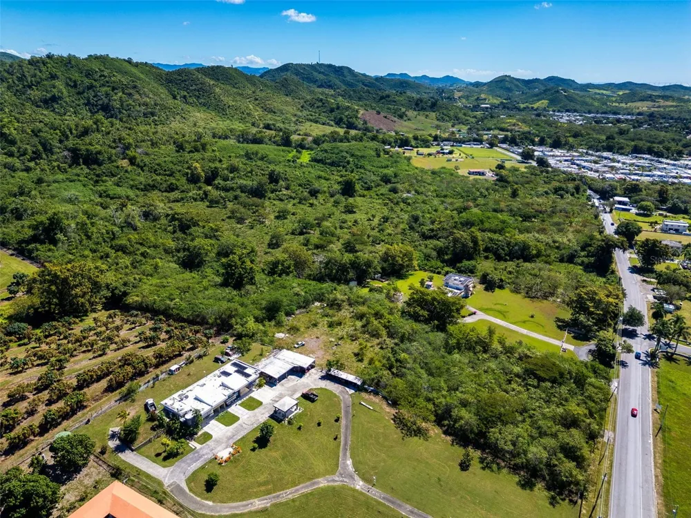 BO TIJERAS Juana Diaz, PR 00795