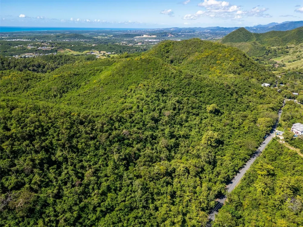 BO TIJERAS Juana Diaz, PR 00795