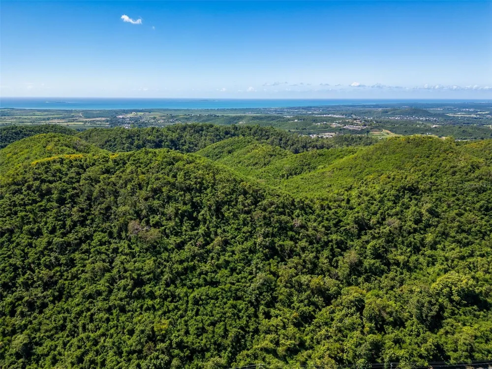 BO TIJERAS Juana Diaz, PR 00795