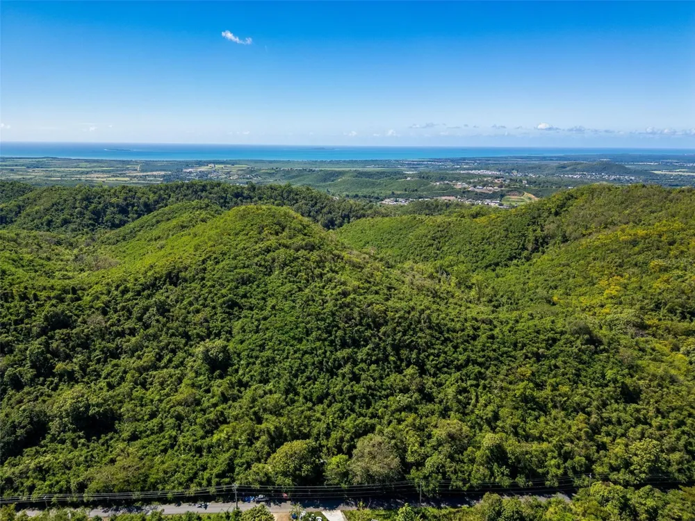 BO TIJERAS Juana Diaz, PR 00795