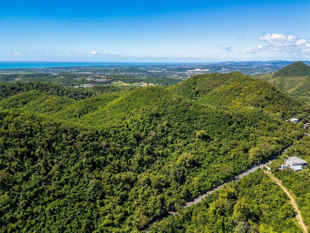 BO TIJERAS Juana Diaz, PR 00795