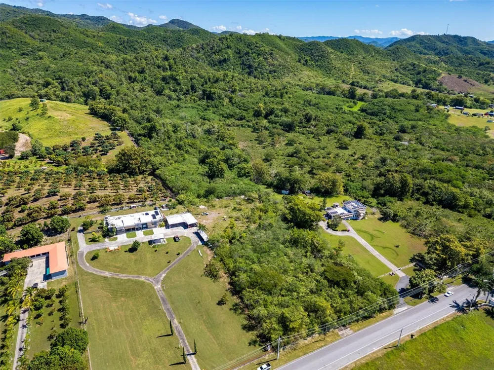 BO TIJERAS Juana Diaz, PR 00795