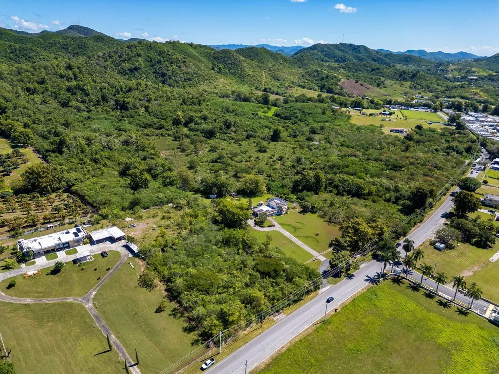 BO TIJERAS Juana Diaz, PR 00795