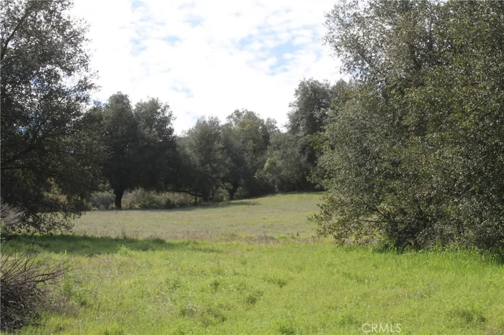 Tenaja Road Murrieta, CA 92562