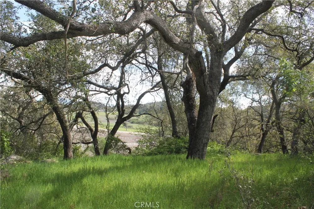 Tenaja Road Murrieta, CA 92562