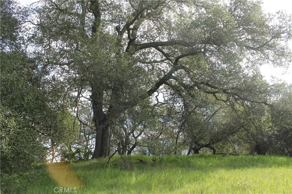 Tenaja Road Murrieta, CA 92562