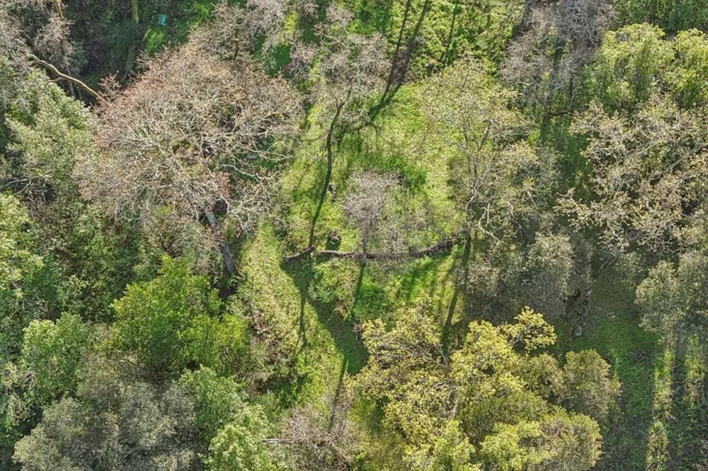 145 Foxwood Road Road Portola Valley, CA 94028