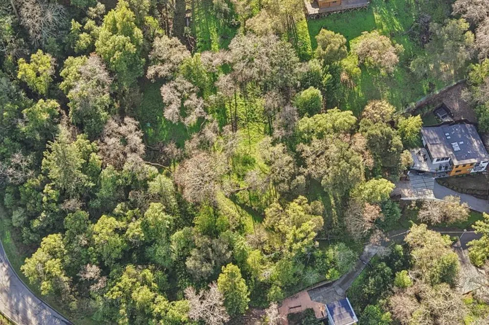 145 Foxwood Road Road Portola Valley, CA 94028