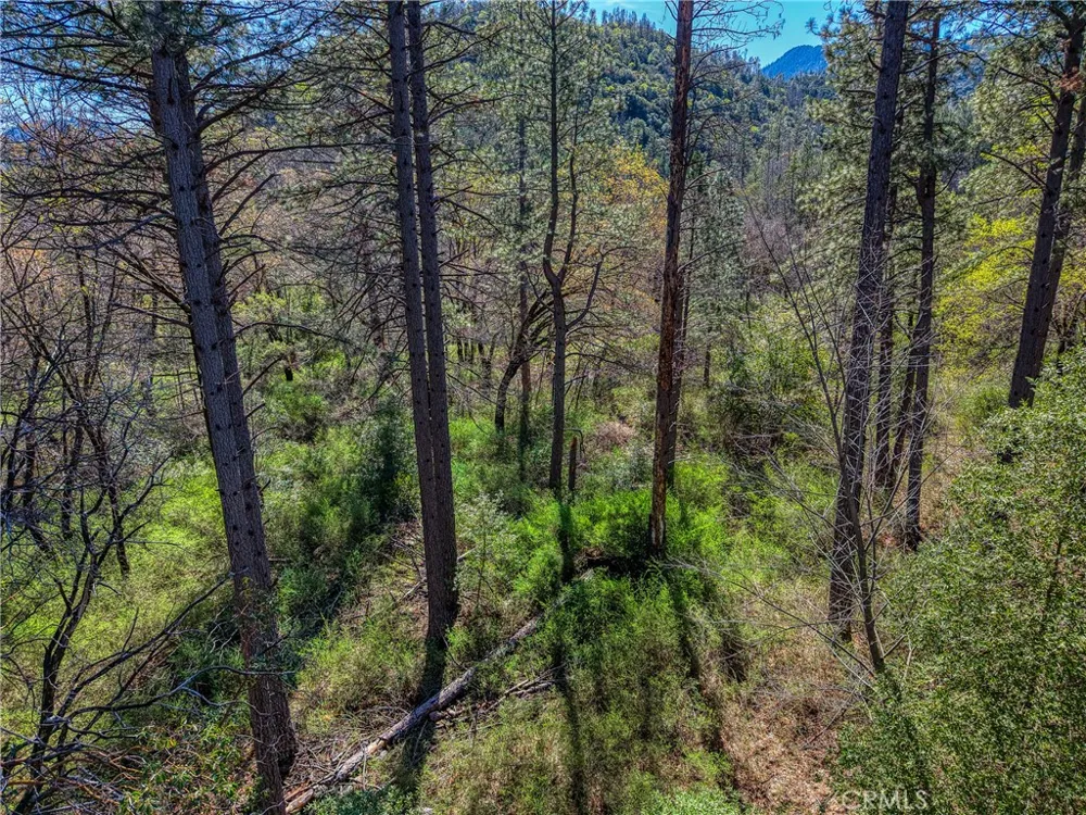 15347 Western Mine Middletown, CA 95461