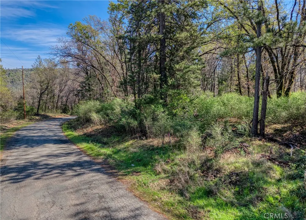 15347 Western Mine Middletown, CA 95461