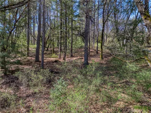 15347 Western Mine