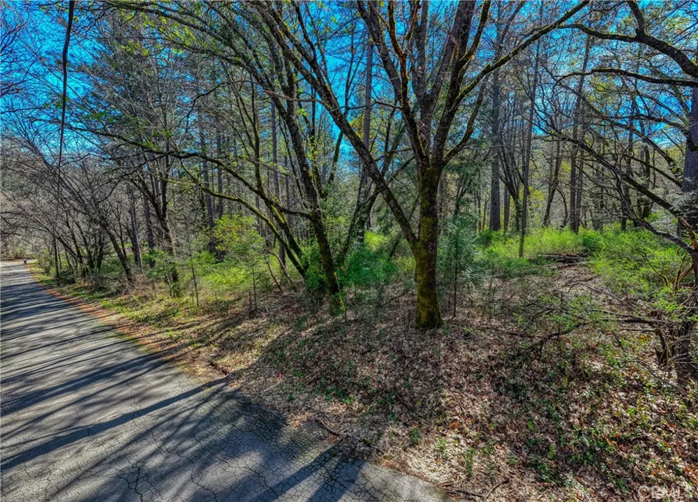 15347 Western Mine Middletown, CA 95461