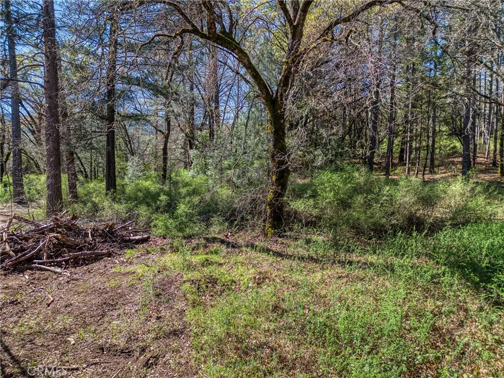 15347 Western Mine Middletown, CA 95461