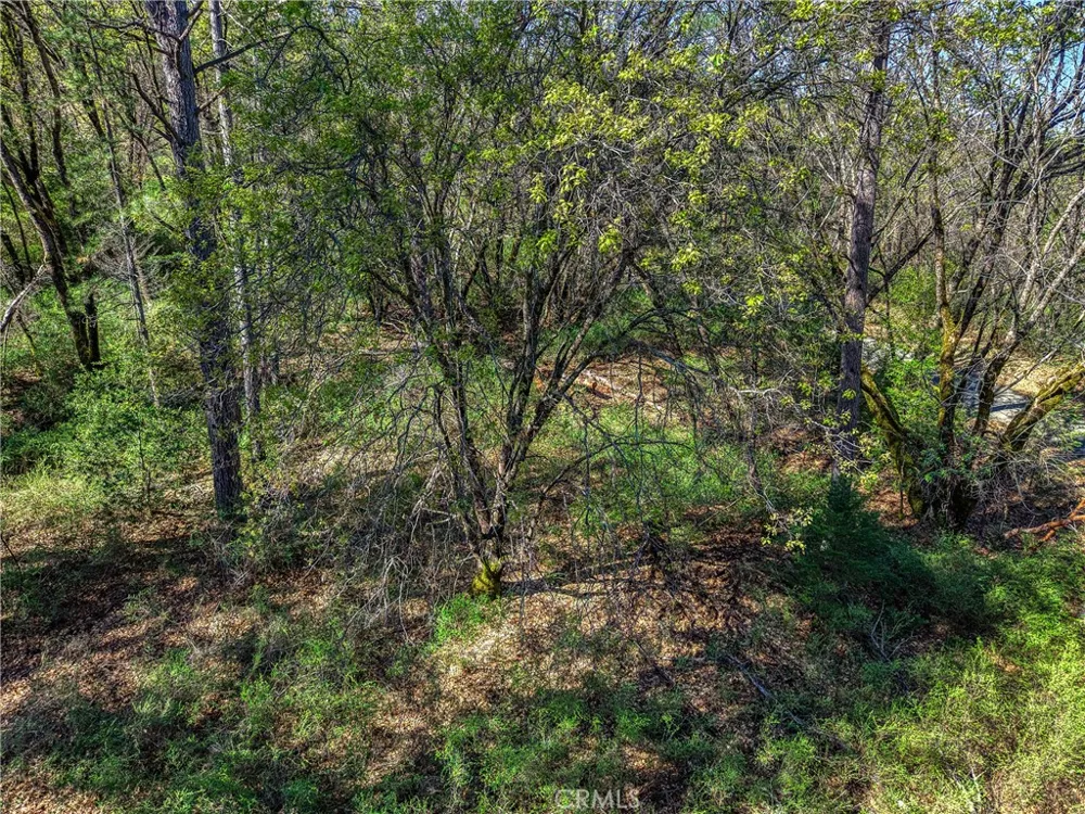 15347 Western Mine Middletown, CA 95461
