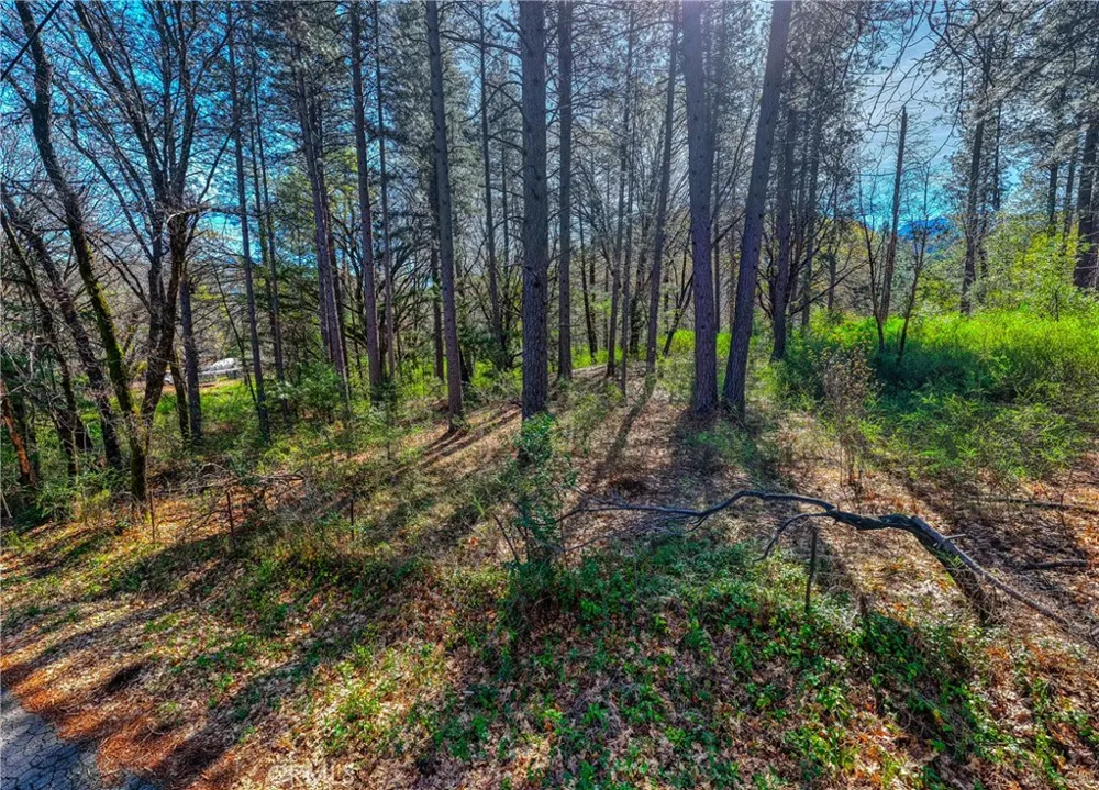 15347 Western Mine Middletown, CA 95461