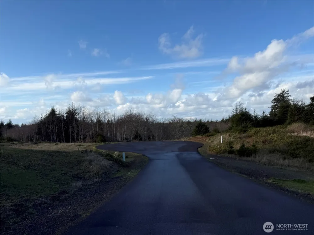 0 Lighthousekeepers Road Ilwaco, WA 98624