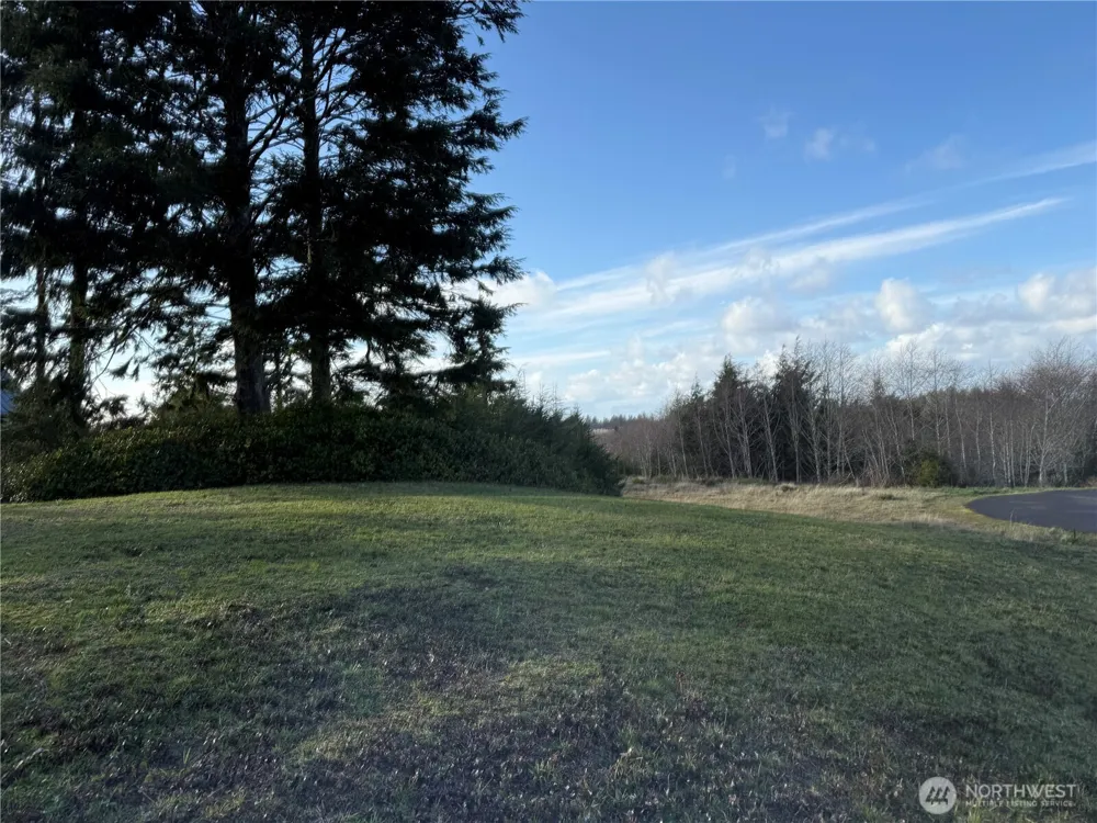 0 Lighthousekeepers Road Ilwaco, WA 98624