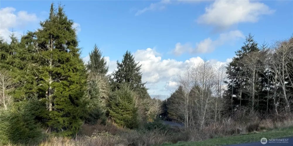 0 Lighthousekeepers Road Ilwaco, WA 98624