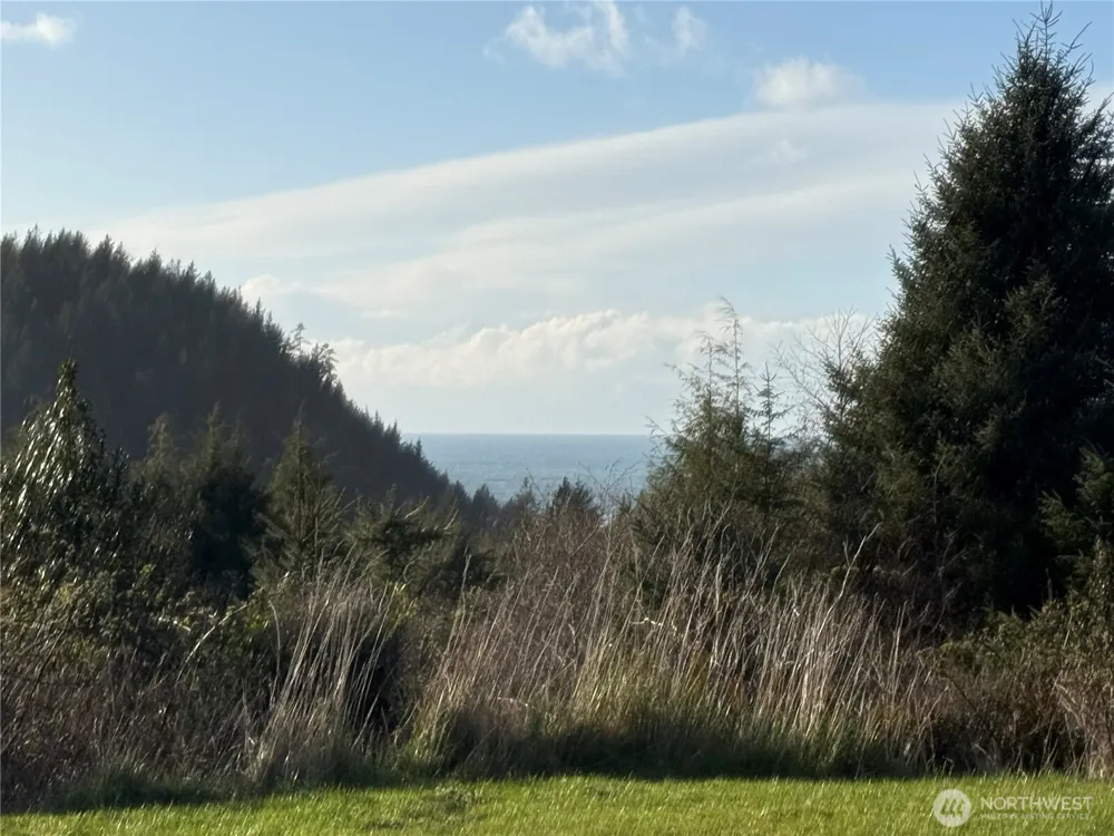0 Lighthousekeepers Road Ilwaco, WA 98624