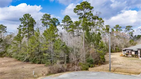 Palmer Oaks Drive