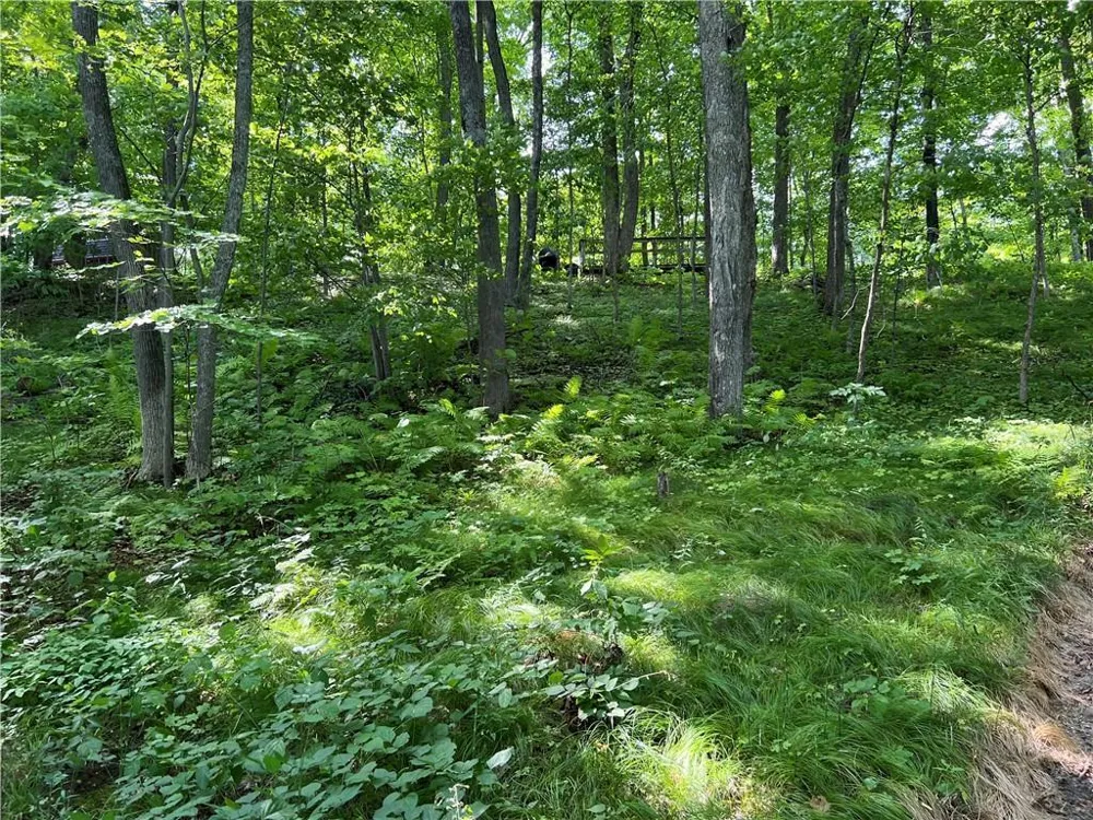 2977 27 7/8 STREET Birchwood, WI 54817