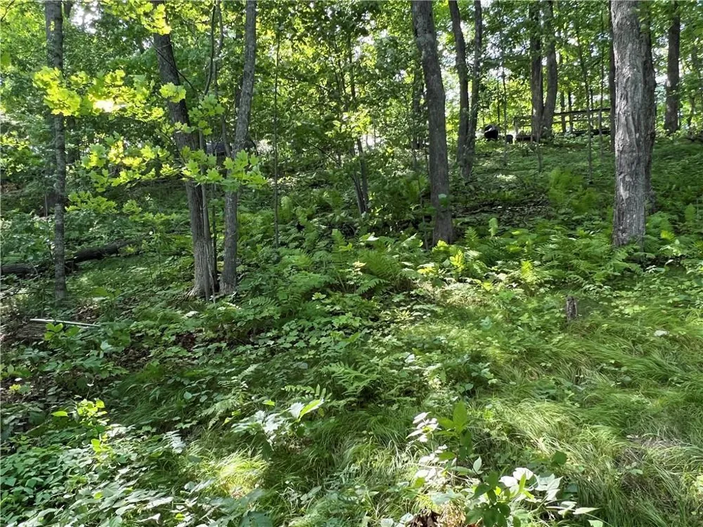 2977 27 7/8 STREET Birchwood, WI 54817