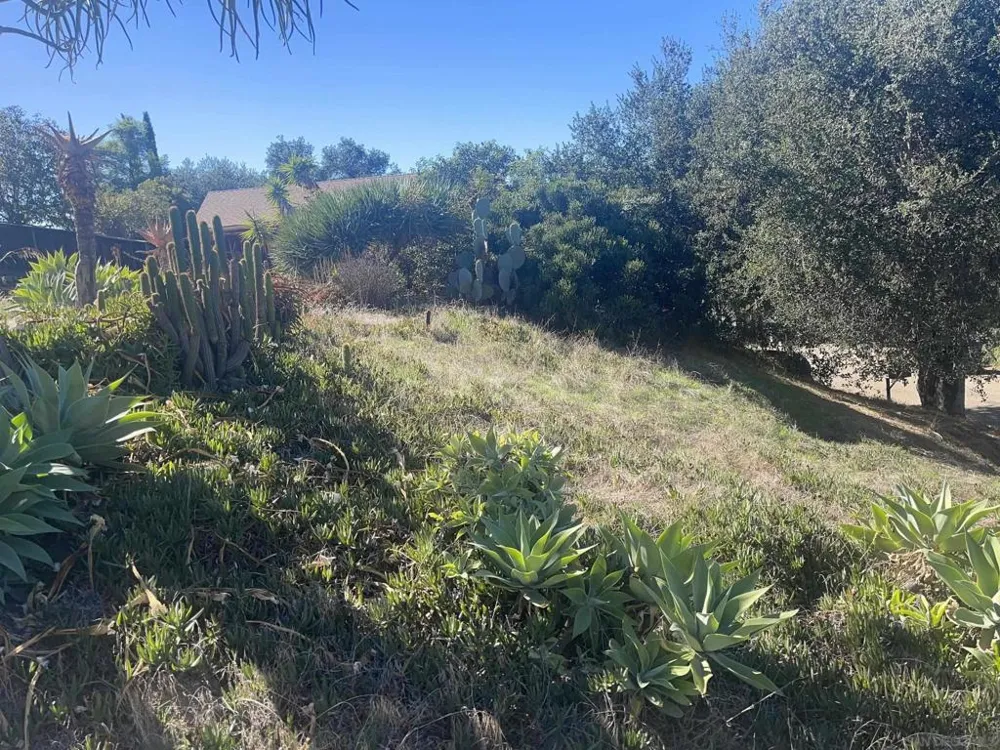 238 Lilac El Cajon, CA 92021