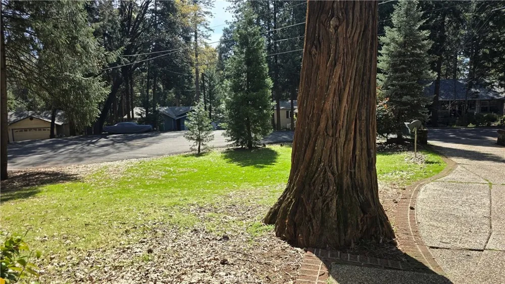 6065 Abraham Court Magalia, CA 95954