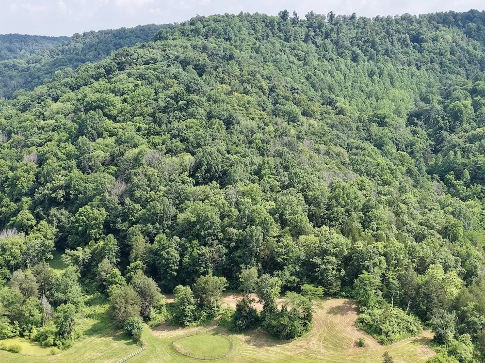 161 Fowler Rd Woodbury, TN 37190