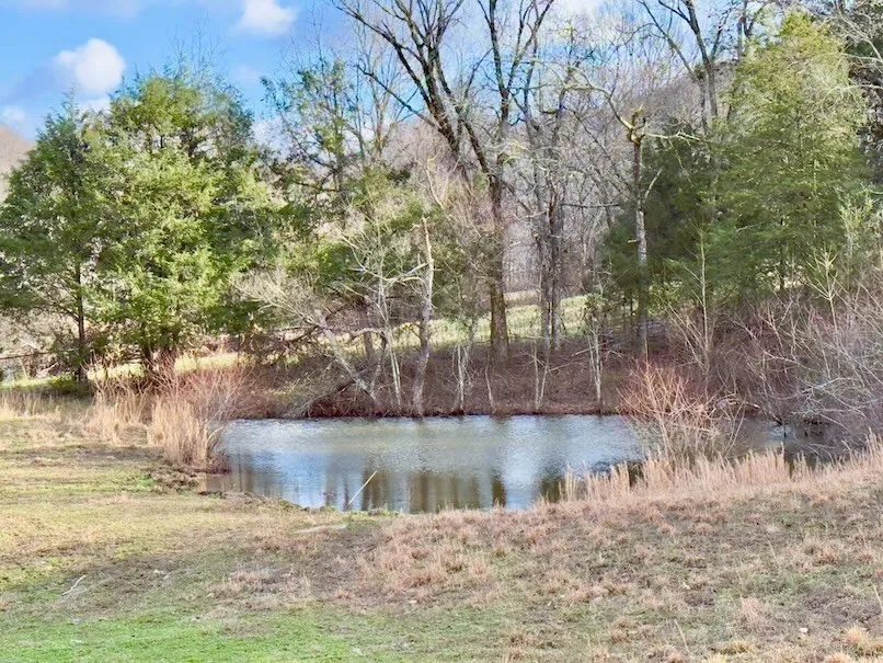 161 Fowler Rd Woodbury, TN 37190
