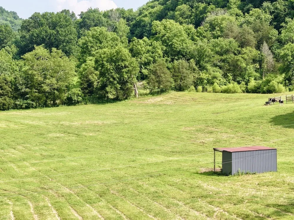 161 Fowler Rd Woodbury, TN 37190