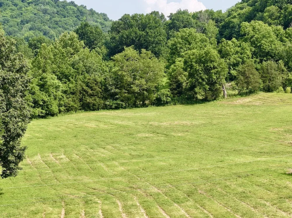 161 Fowler Rd Woodbury, TN 37190