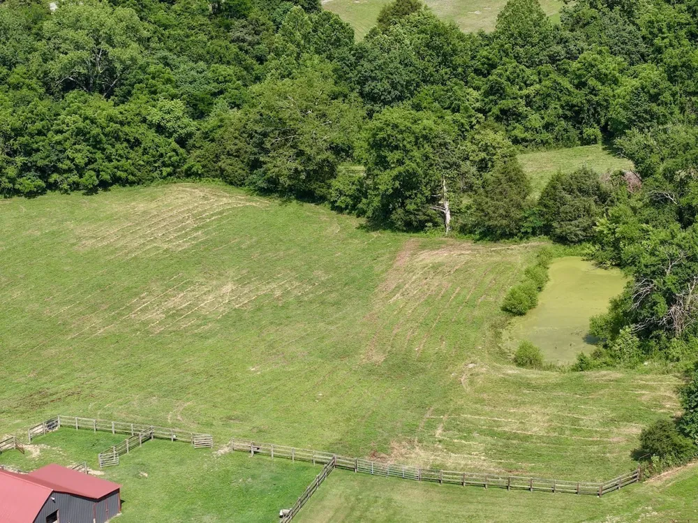 161 Fowler Rd Woodbury, TN 37190