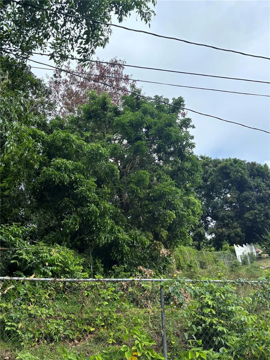 RD 842 KM 4.6 INT San Juan, PR 00921