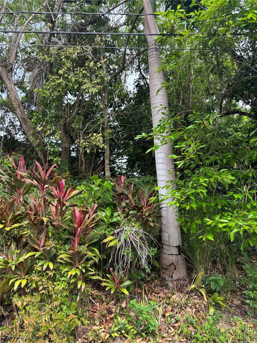 RD 842 KM 4.6 INT San Juan, PR 00921