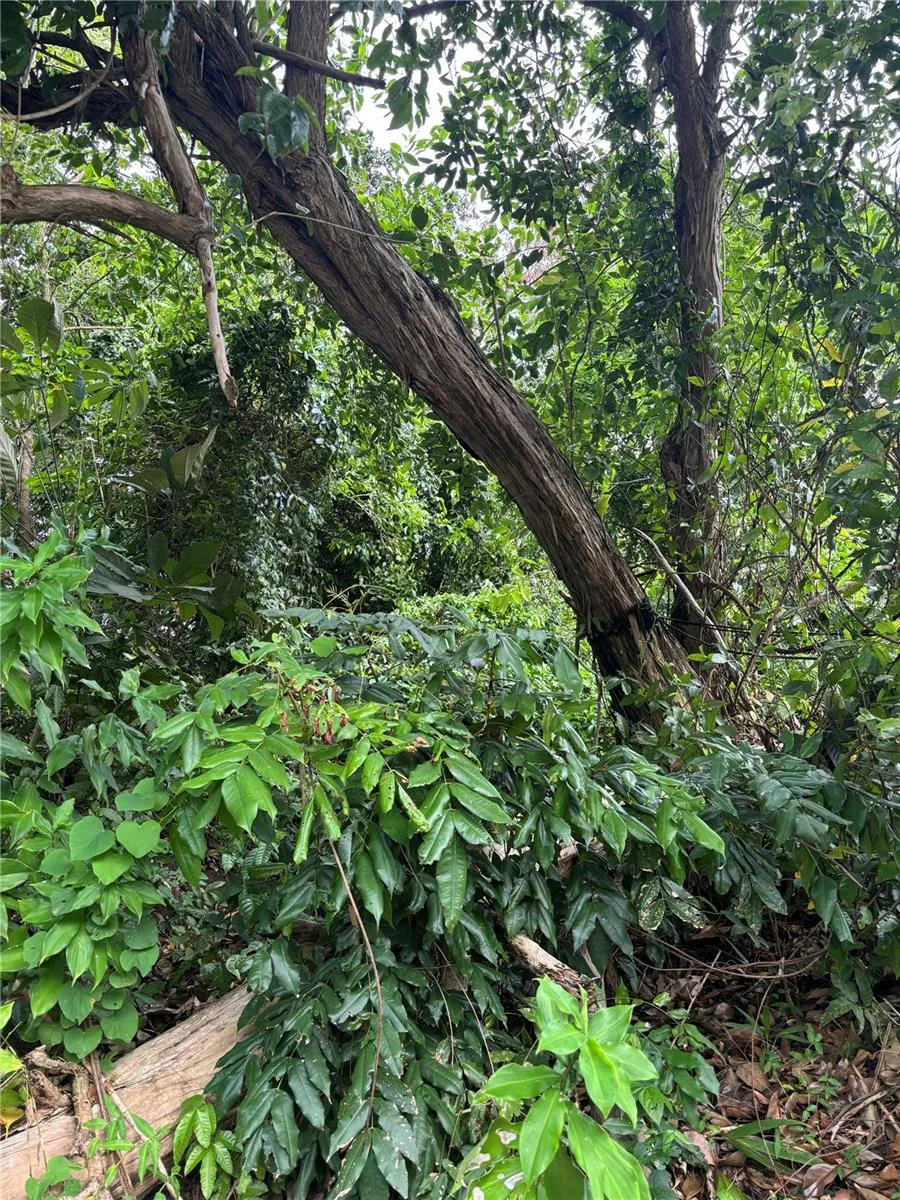 RD 842 KM 4.6 INT San Juan, PR 00921