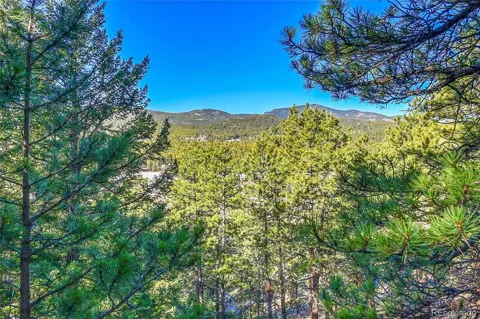 27292 Ridge Trail