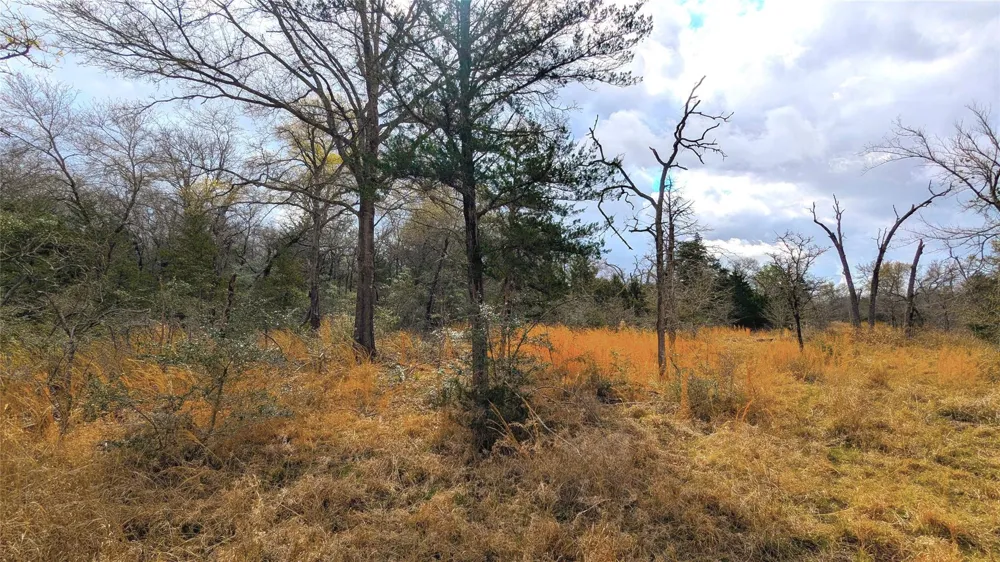 62 Fm-937 Groesbeck, TX 76642