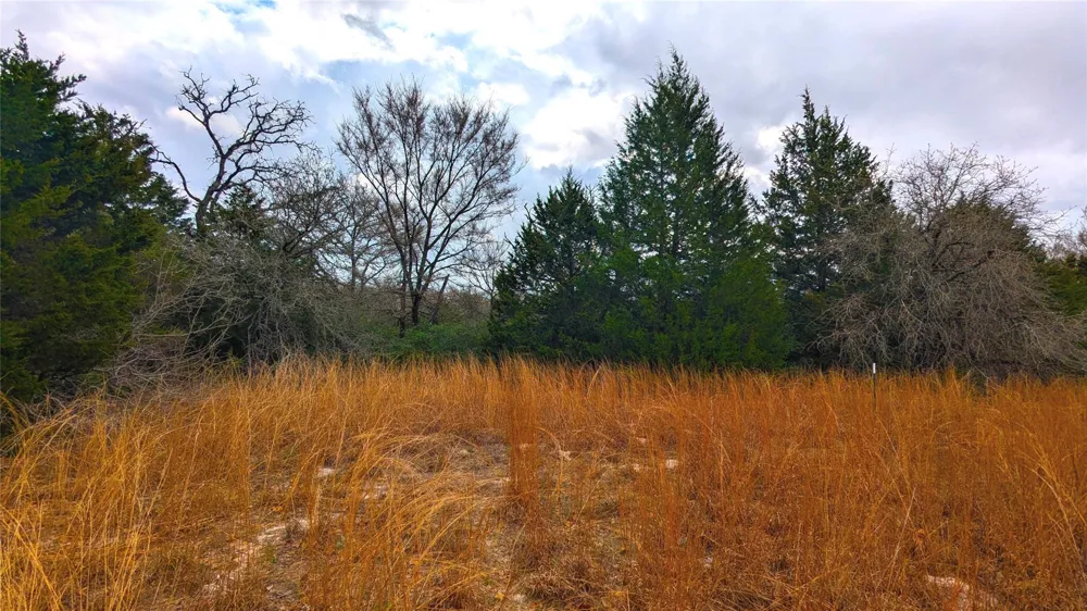62 Fm-937 Groesbeck, TX 76642