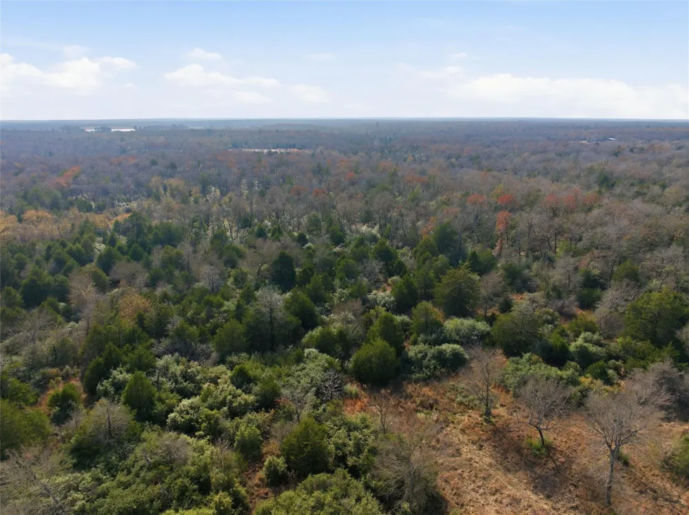 62 Fm-937 Groesbeck, TX 76642
